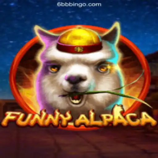 Dive Into Fun and Excitement with FunnyAlpaca